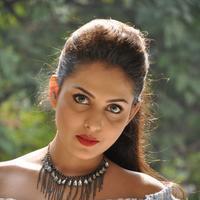 Madhu Shalini New Gallery | Picture 1166196