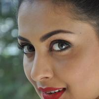 Madhu Shalini New Gallery | Picture 1166197