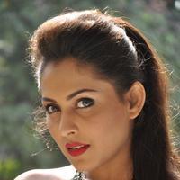 Madhu Shalini New Gallery | Picture 1166199