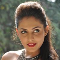 Madhu Shalini New Gallery | Picture 1166201