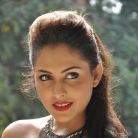 Madhu Shalini New Gallery | Picture 1166203