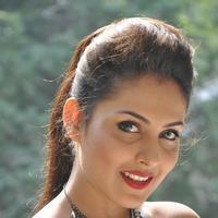 Madhu Shalini New Gallery | Picture 1166224
