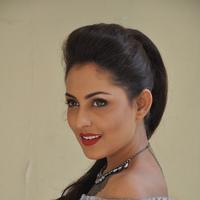 Madhu Shalini New Gallery | Picture 1166226