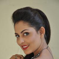 Madhu Shalini New Gallery | Picture 1166232