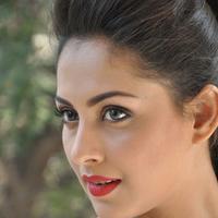 Madhu Shalini New Gallery | Picture 1166233