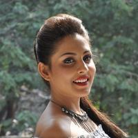 Madhu Shalini New Gallery | Picture 1166234