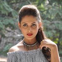Madhu Shalini New Gallery | Picture 1166236