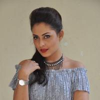 Madhu Shalini New Gallery | Picture 1166240