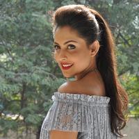 Madhu Shalini New Gallery | Picture 1166249