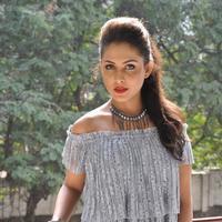 Madhu Shalini New Gallery | Picture 1166256