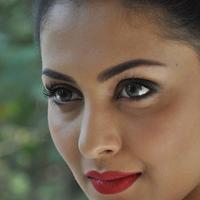 Madhu Shalini New Gallery | Picture 1166257