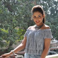 Madhu Shalini New Gallery | Picture 1166259