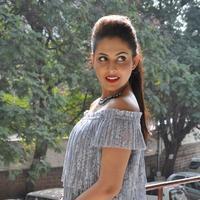 Madhu Shalini New Gallery | Picture 1166260