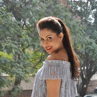 Madhu Shalini New Gallery | Picture 1166261