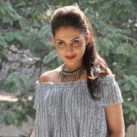Madhu Shalini New Gallery | Picture 1166262