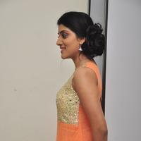 Dhanya Balakrishna at Bhale Manchi Roju Movie Audio Launch Photos | Picture 1167471