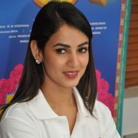Sonal Chauhan Cute Gallery | Picture 1168109
