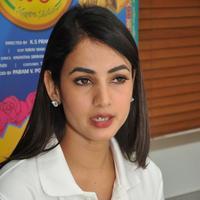 Sonal Chauhan Cute Gallery | Picture 1168112