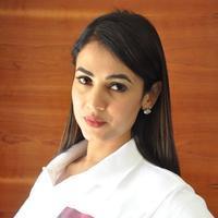 Sonal Chauhan Cute Gallery | Picture 1168119