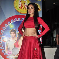 Sonal Chauhan at Size Zero Movie Celebs Show Photos | Picture 1169010