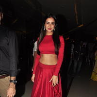 Sonal Chauhan at Size Zero Movie Celebs Show Photos | Picture 1169021