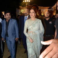 Sridevi Kapoor - Celebs at Jaya Prada Son Siddharth Wedding Reception Stills