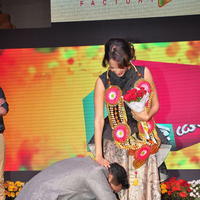 Mama Manchu Alludu Kanchu Audio Launch Photos | Picture 1170536