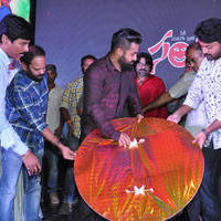 Sher Movie Audio Launch Photos | Picture 1135777