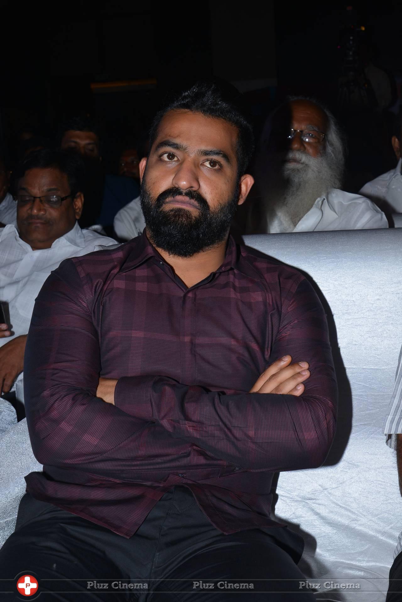 Jr. NTR - Sher Movie Audio Launch Photos | Picture 1135101