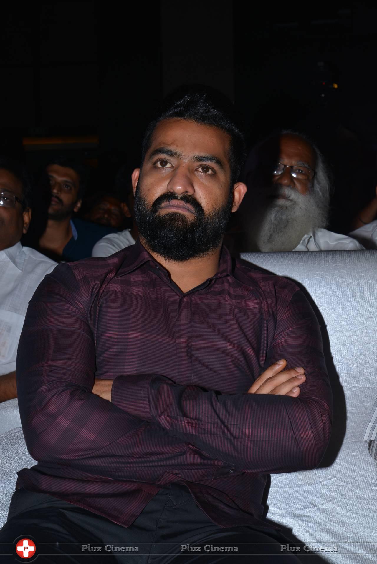 Jr. NTR - Sher Movie Audio Launch Photos | Picture 1135114