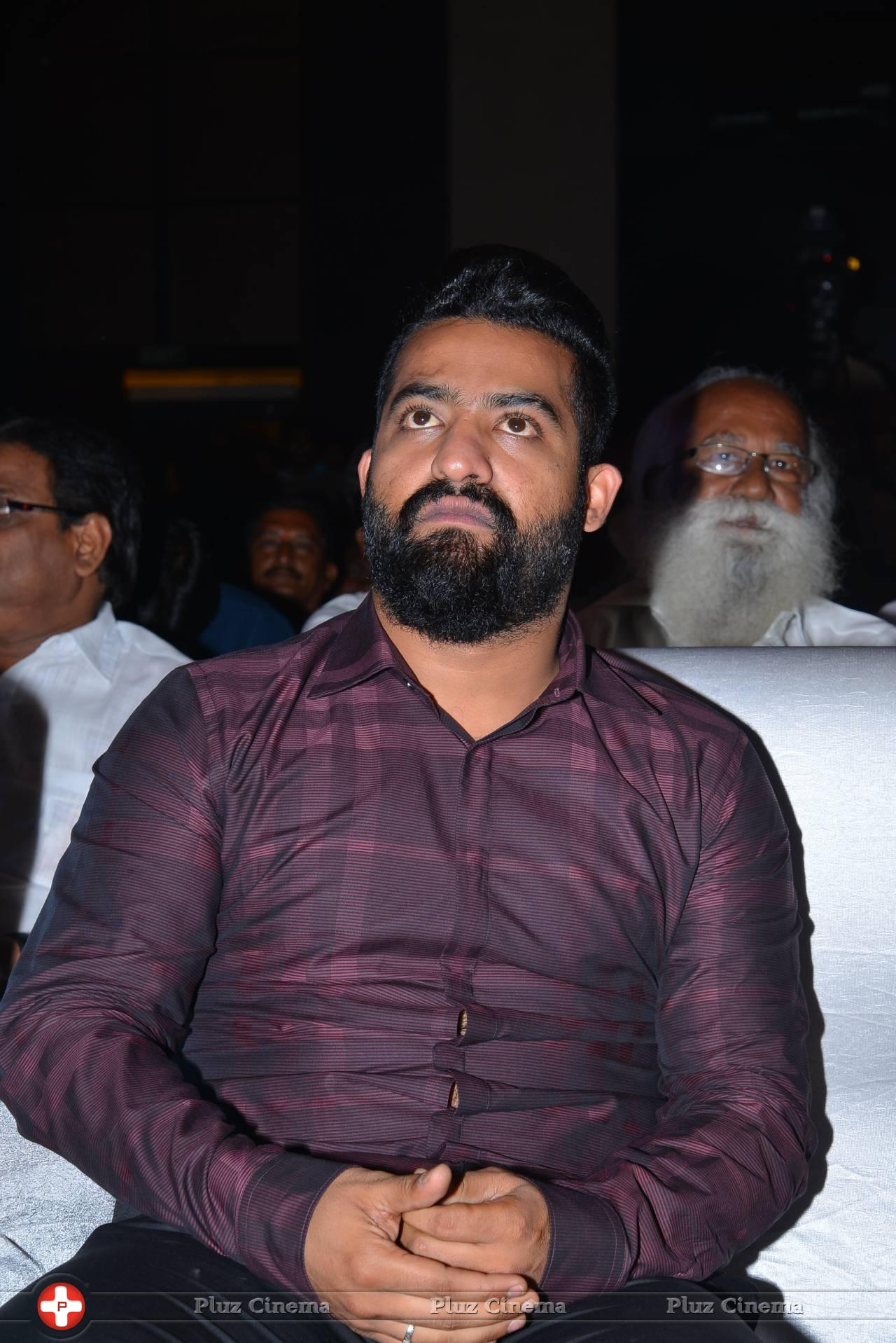 Jr. NTR - Sher Movie Audio Launch Photos | Picture 1135117