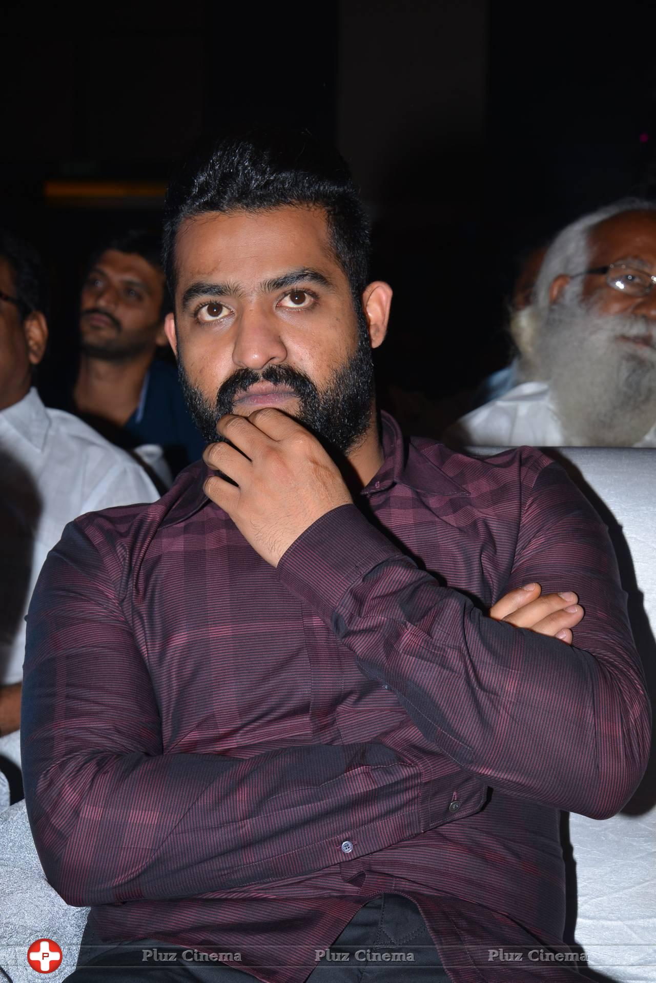 Jr. NTR - Sher Movie Audio Launch Photos | Picture 1135122