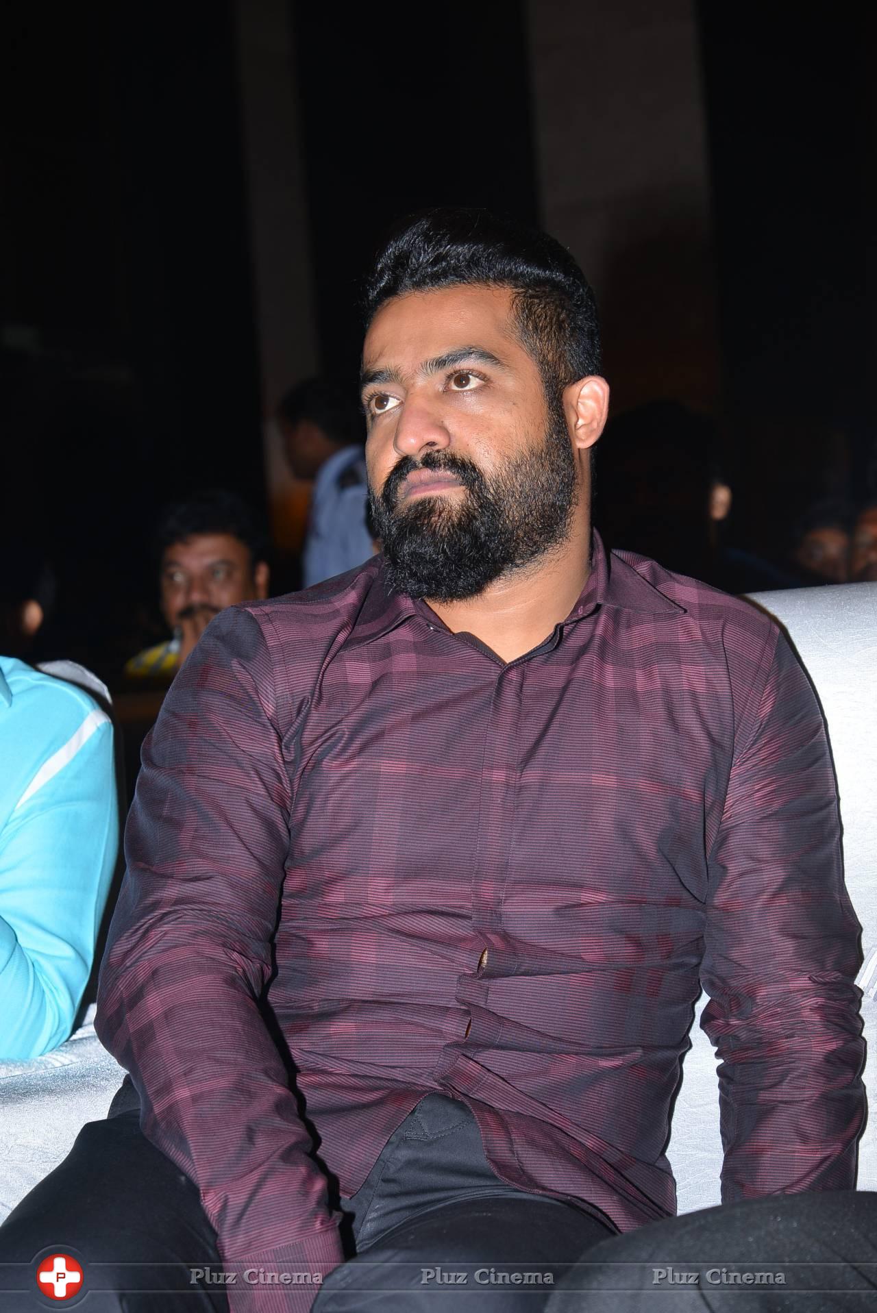 Jr. NTR - Sher Movie Audio Launch Photos | Picture 1135182
