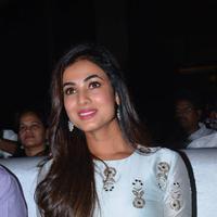 Sonal Chauhan - Sher Movie Audio Launch Photos | Picture 1135077