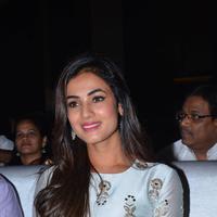 Sonal Chauhan - Sher Movie Audio Launch Photos | Picture 1135079