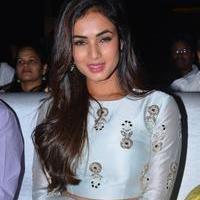 Sonal Chauhan - Sher Movie Audio Launch Photos | Picture 1135083