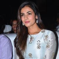 Sonal Chauhan - Sher Movie Audio Launch Photos | Picture 1135085