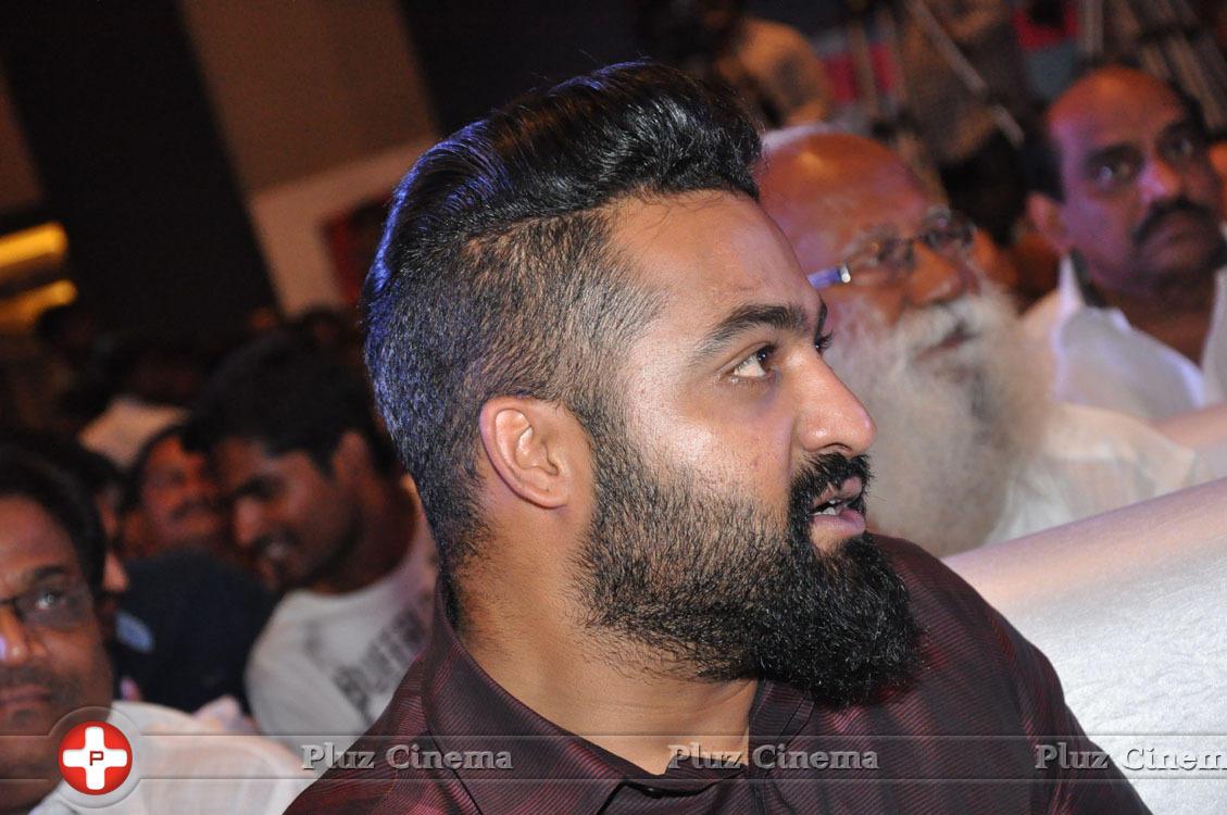 Jr. NTR at Sher Movie Audio Launch Stills | Picture 1135620