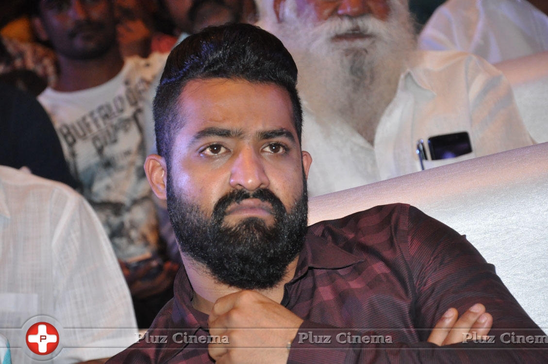 Jr. NTR at Sher Movie Audio Launch Stills | Picture 1135631