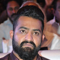 Jr. NTR at Sher Movie Audio Launch Stills | Picture 1135609