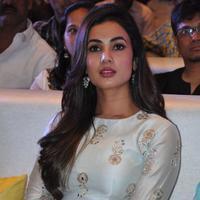Sonal Chauhan at Sher Movie Audio Launch Photos | Picture 1135496