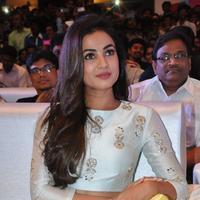 Sonal Chauhan at Sher Movie Audio Launch Photos | Picture 1135500