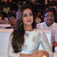 Sonal Chauhan at Sher Movie Audio Launch Photos | Picture 1135501