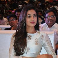 Sonal Chauhan at Sher Movie Audio Launch Photos | Picture 1135502