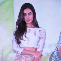 Sonal Chauhan at Sher Movie Audio Launch Photos | Picture 1135507
