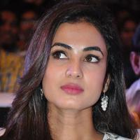 Sonal Chauhan at Sher Movie Audio Launch Photos | Picture 1135510