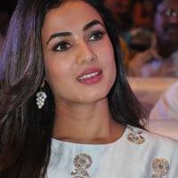Sonal Chauhan at Sher Movie Audio Launch Photos | Picture 1135514