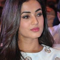 Sonal Chauhan at Sher Movie Audio Launch Photos | Picture 1135515