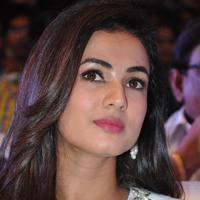 Sonal Chauhan at Sher Movie Audio Launch Photos | Picture 1135521