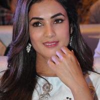 Sonal Chauhan at Sher Movie Audio Launch Photos | Picture 1135529